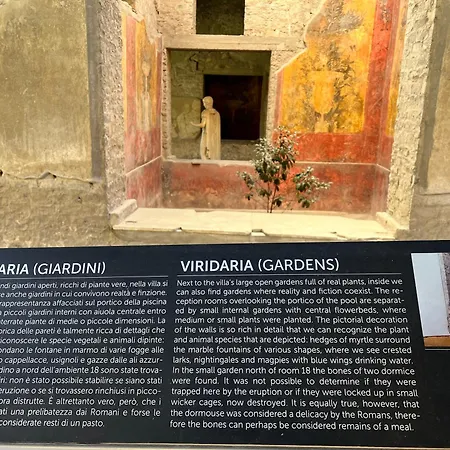 Sogno Di Mezza Estate